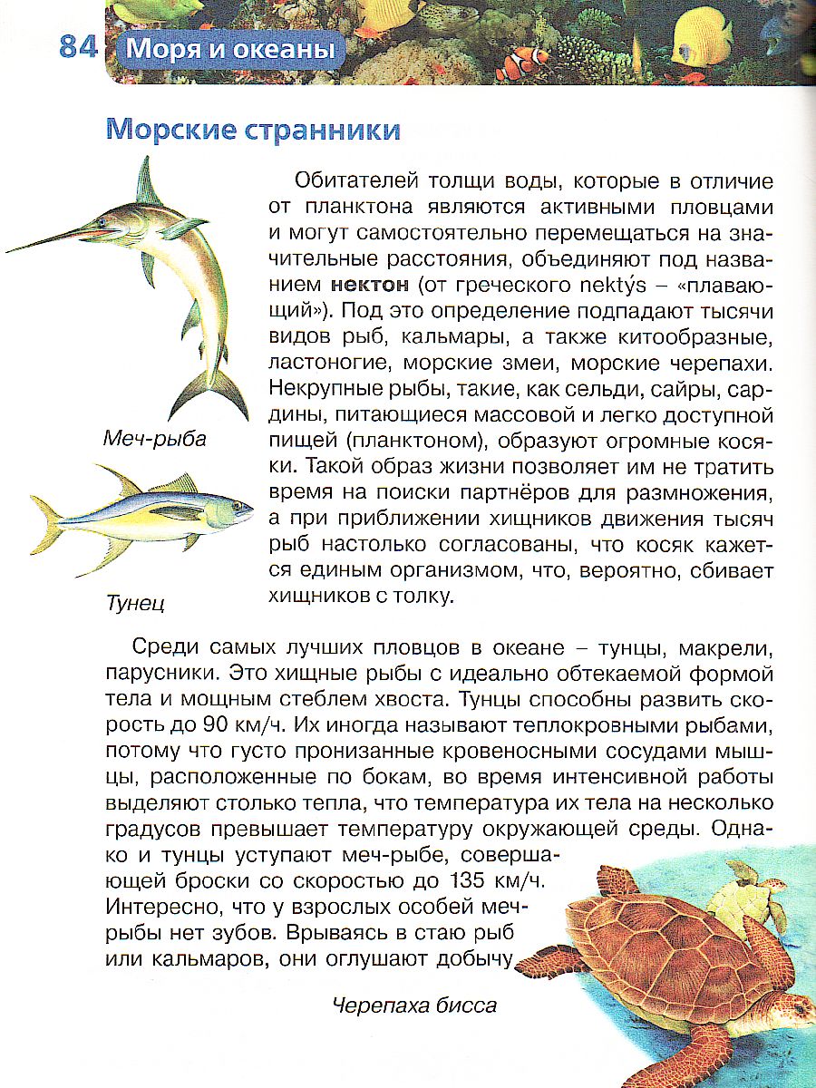 Обложка Моря и океаны, издательство РОСМЭН | купить в книжном магазине Рослит