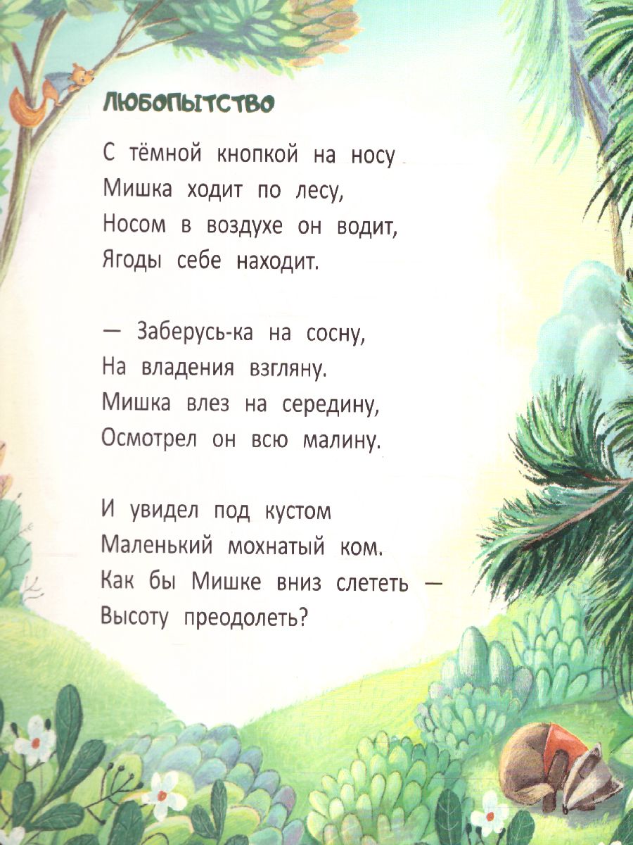 Обложка Мишка: история в стихах, издательство Феникс-Премьер                                     | купить в книжном магазине Рослит