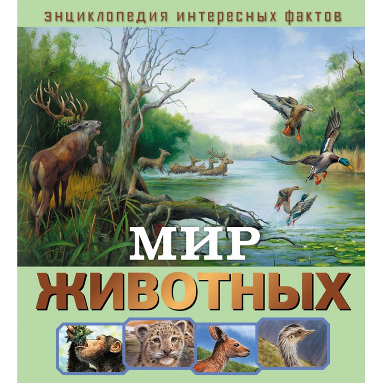 Обложка Энциклопедия интересных фактов Мир животных, издательство НД Плэй                                            | купить в книжном магазине Рослит