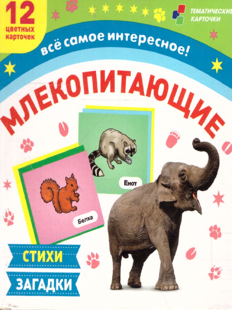 Обложка книги 12 развивающих карточек. Млекопитающие. С картинками, стихами и загадками, Автор , издательство Учитель | купить в книжном магазине Рослит