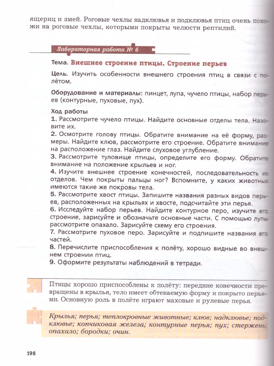 Обложка книги Биология 7 класс. Концетрический курс. Учебник. ФГОС, Автор Константинов В.М. Бабенко В.Г. Кучменко В.С., издательство Просвещение | купить в книжном магазине Рослит