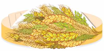 Обложка книги Маска-ободок Колосья, Автор МА-11476, издательство Сфера | купить в книжном магазине Рослит