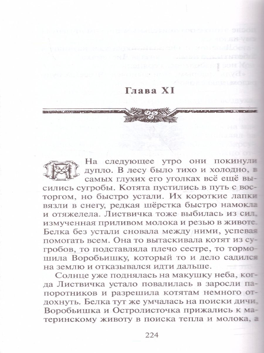 Обложка Сборник. Цикл "Нерассказанные истории". Ярость Когтя /Коты-воители, издательство Просвещение/Союз                                   | купить в книжном магазине Рослит