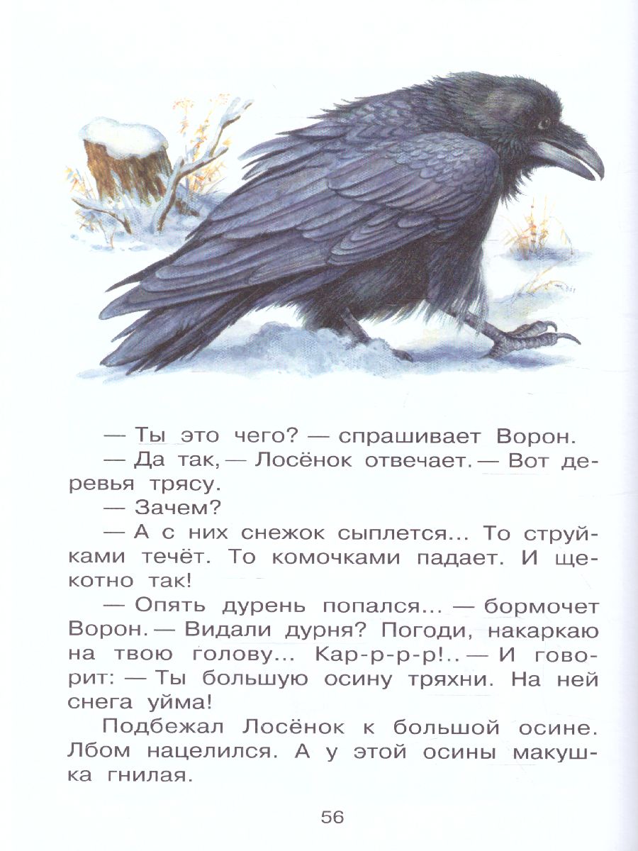 Обложка книги Лесные истории, Автор Шим Э.Ю., издательство АСТ | купить в книжном магазине Рослит