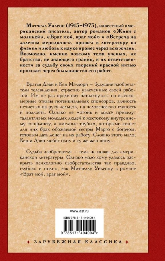 картинка Брат мой, враг мой. Зарубежная классика от магазина Рослит