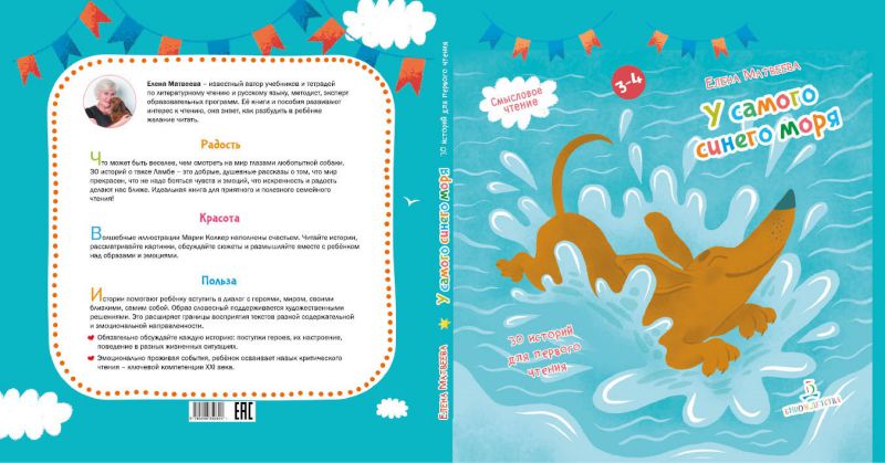 Обложка книги У самого синего моря. 30 историй для первого чтения, Автор Матвеева Е.И., издательство Просвещение/Союз                                   | купить в книжном магазине Рослит