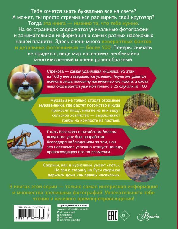 Обложка Большая энциклопедия о насекомых. 500 фотографий и фактов, издательство АСТ | купить в книжном магазине Рослит