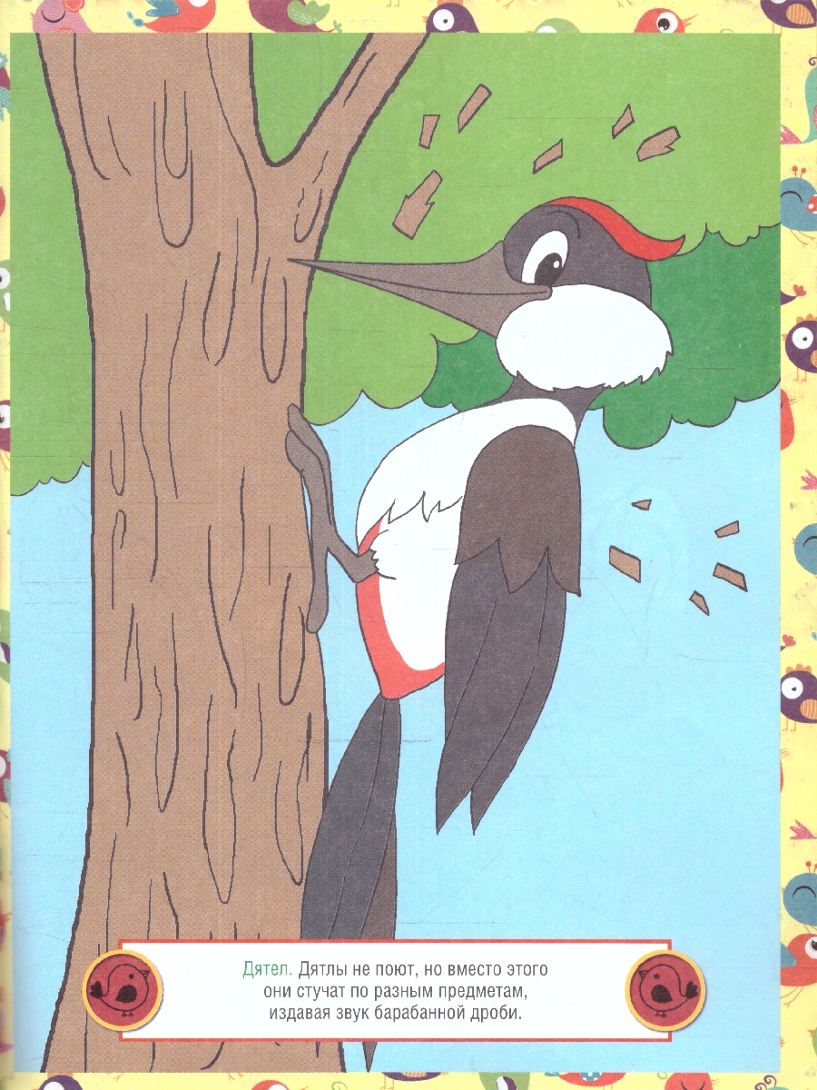 Обложка книги Раскраска детская. Птицы, Автор , издательство РУЗ Ко | купить в книжном магазине Рослит