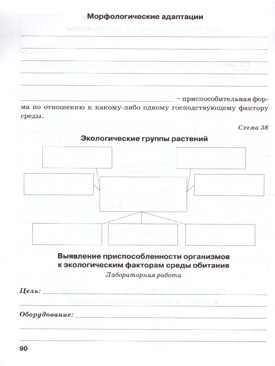 Обложка книги Биология 9 класс. Рабочая тетрадь. Основы общей биологии, Автор , издательство ТЦУ | купить в книжном магазине Рослит
