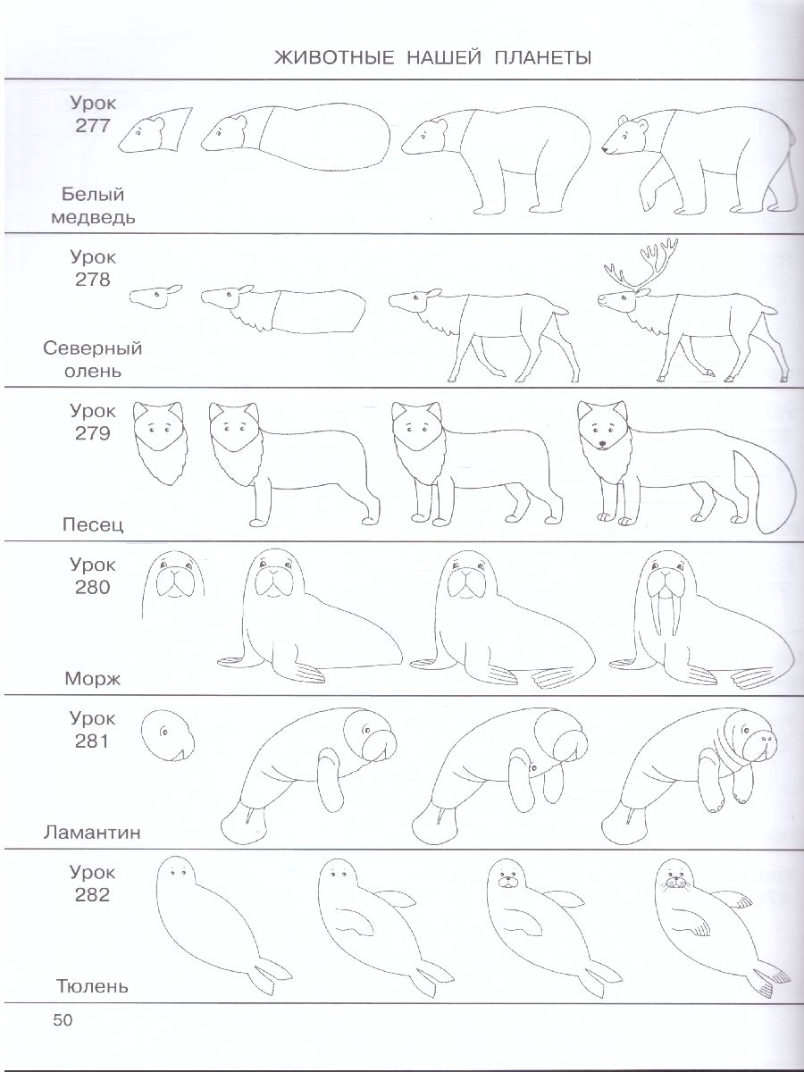 Обложка 365 уроков: нарисуем шаг за шагом всё на свете / 365 занятий: шаг за шагом, издательство АСТ | купить в книжном магазине Рослит