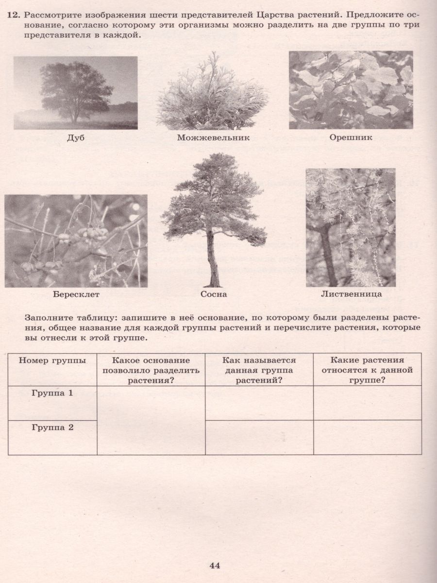Обложка книги Биология 7 класс. 10 вариантов итоговых работ для подготовки к ВПР, Автор Скворцов П.М., издательство Издательство Интеллект-центр | купить в книжном магазине Рослит
