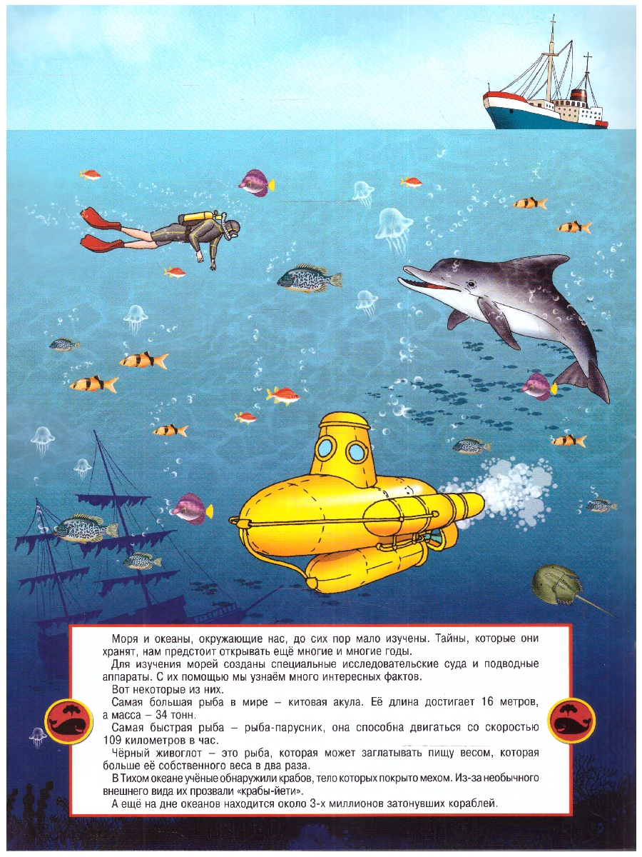 Обложка книги Книжка-раскраска с наклейками. Морские животные, Автор , издательство РУЗ Ко | купить в книжном магазине Рослит