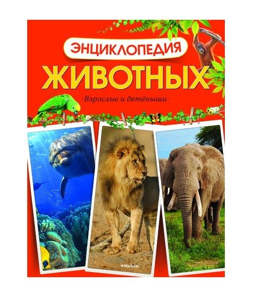 Обложка Энциклопедия животных. Взрослые и детёныши, издательство Махаон | купить в книжном магазине Рослит