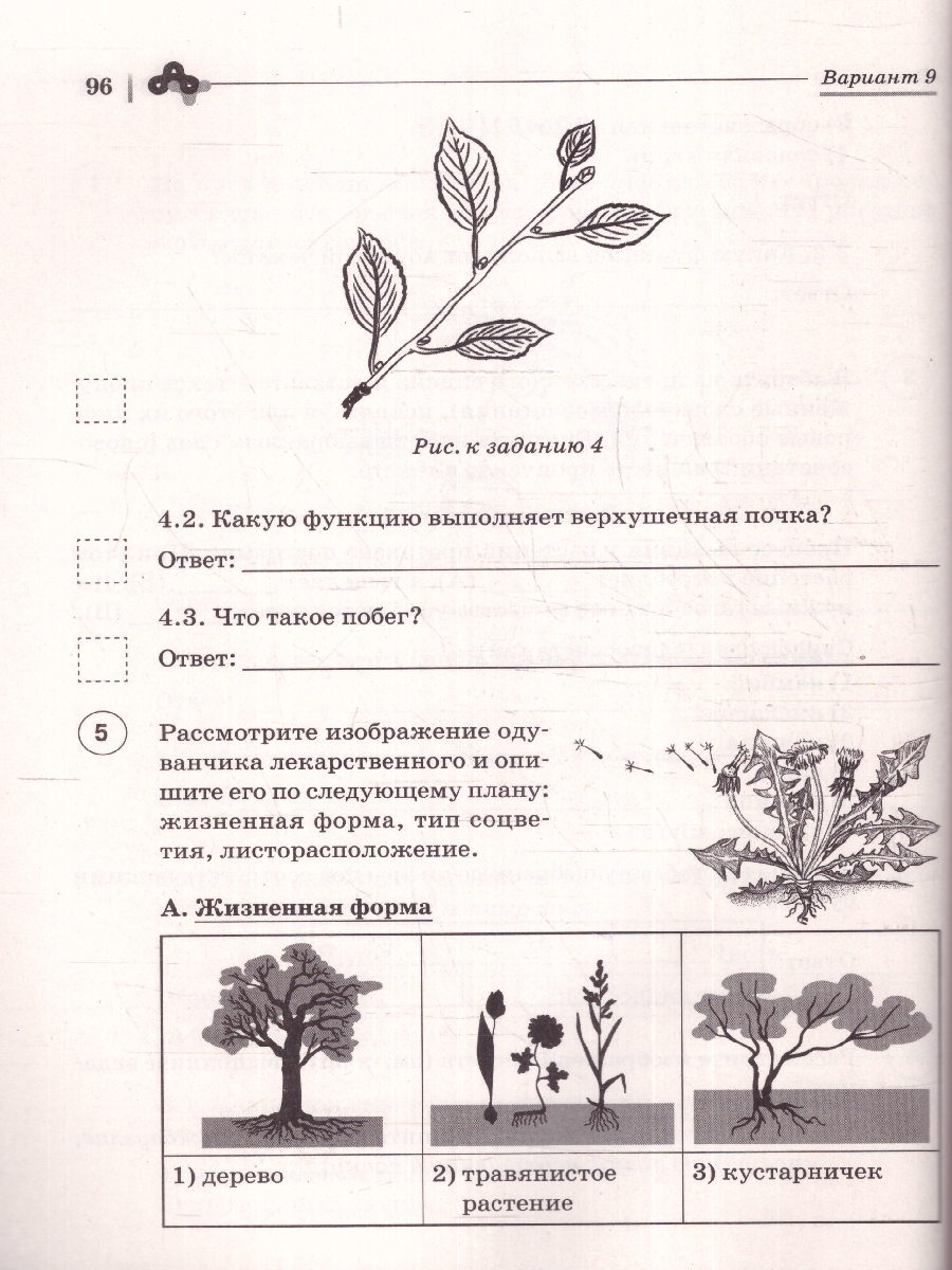 Обложка книги ВПР Биология 6 класс. 10 тренировочных вариантов, Автор Кириленко А. А., издательство ЛЕГИОН | купить в книжном магазине Рослит
