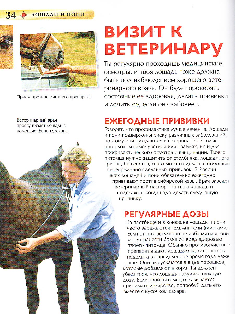 Обложка Лошади и пони, издательство РОСМЭН | купить в книжном магазине Рослит