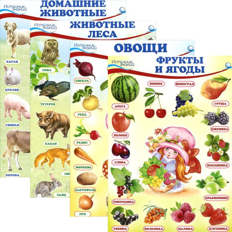 Обложка книги Комплект Мини-плакатов Домашние, лесные животные, фрукты и ягоды, овощи. 4 листа. А4, Автор 00-00003215, издательство Сфера | купить в книжном магазине Рослит