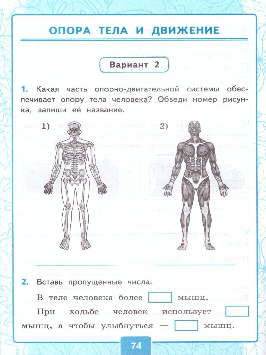 Обложка книги Окружающий мир 3 класс. Контрольные работы. Часть 1. К новому учебнику. УМК Плешакова. ФГОС НОВЫЙ, Автор Крылова О.Н.; Цитович Г.И., издательство Экзамен | купить в книжном магазине Рослит