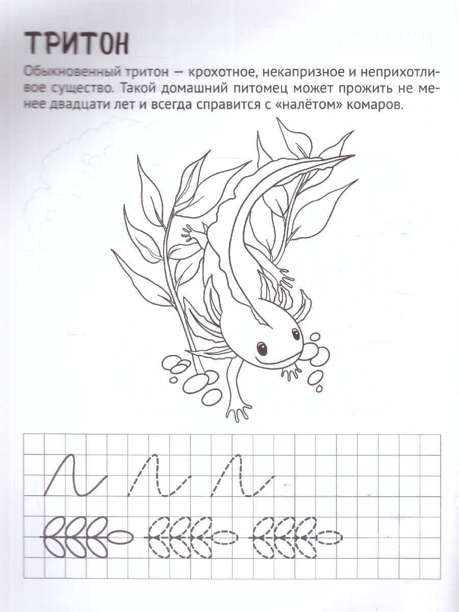 Обложка книги Готовим руку к письму.Раскраска с прописями.Домашние питомцы, Автор Цветкова Т. В., издательство Сфера | купить в книжном магазине Рослит