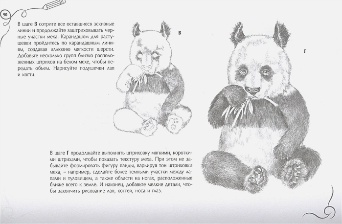 Обложка Рисуем животных. Альбом для скетчинга. Искусство рисовать на коленке, издательство АСТ | купить в книжном магазине Рослит