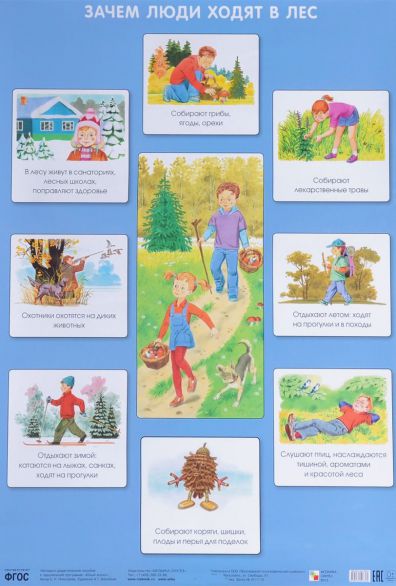 Обложка книги Плакат Зачем люди ходят в лес. Экологичесое воспитание, Автор Николаева С.Н., издательство Мозаика-Синтез | купить в книжном магазине Рослит