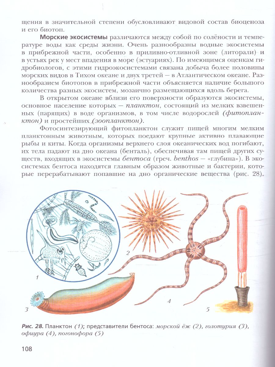 Обложка книги Биология 10 класс. Учебник (базовый уровень). ФГОС, Автор Пономарева И.Н. Корнилова О.А. Лощилина Т.Е., издательство Просвещение | купить в книжном магазине Рослит