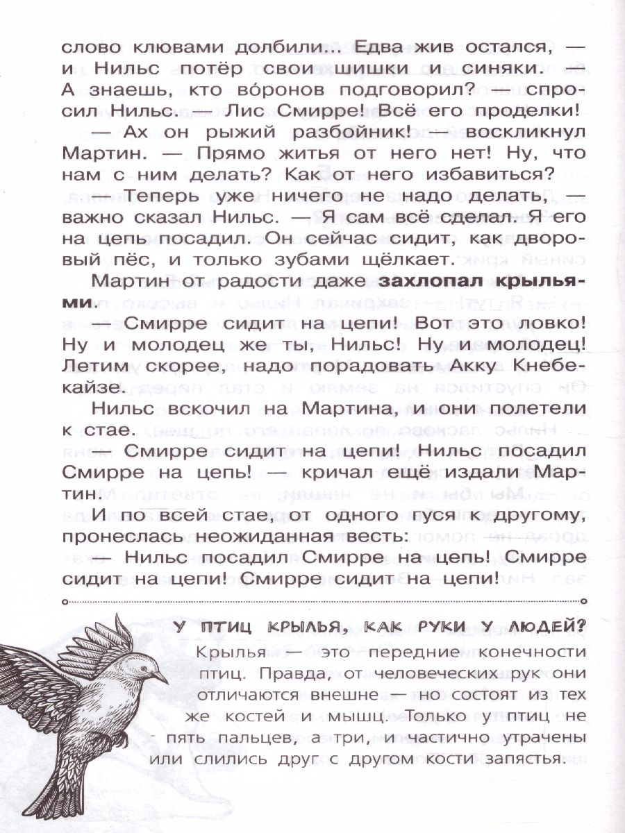 Обложка Чудесное путешествие Нильса с дикими гусями /СамЛучРассказы, издательство АСТ | купить в книжном магазине Рослит
