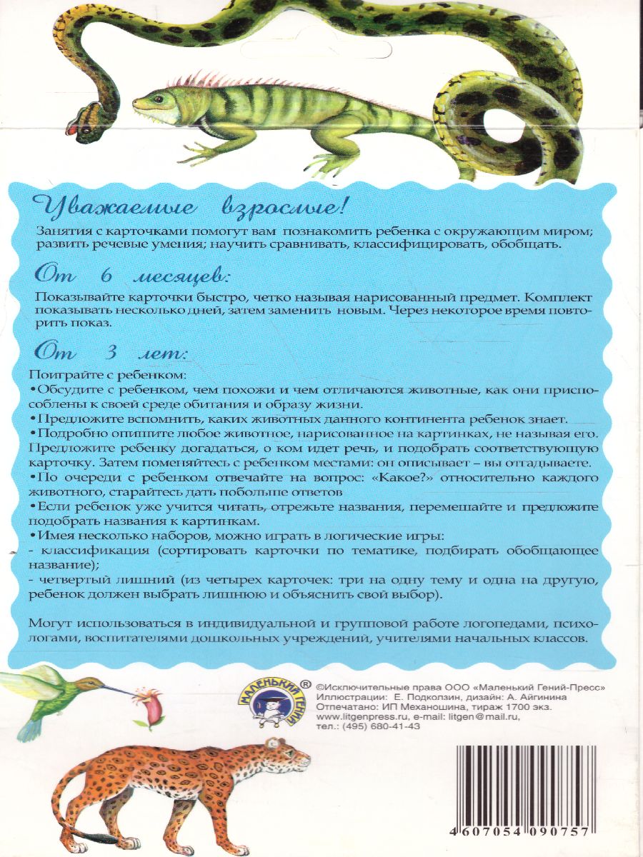 Обложка книги Дидактические карточки "Животные Южной Америки", Автор , издательство Маленький гений-Пресс | купить в книжном магазине Рослит