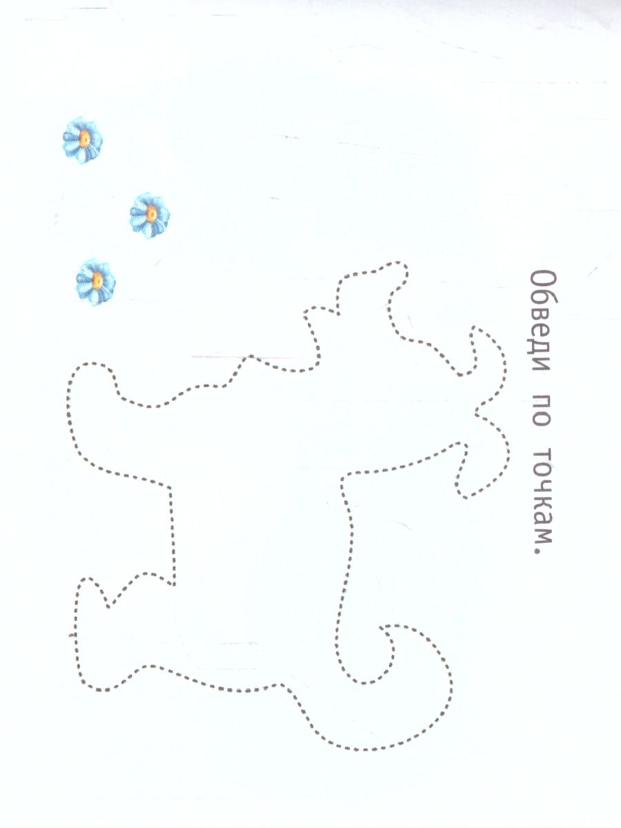 Обложка Мир животных, издательство АСТ | купить в книжном магазине Рослит