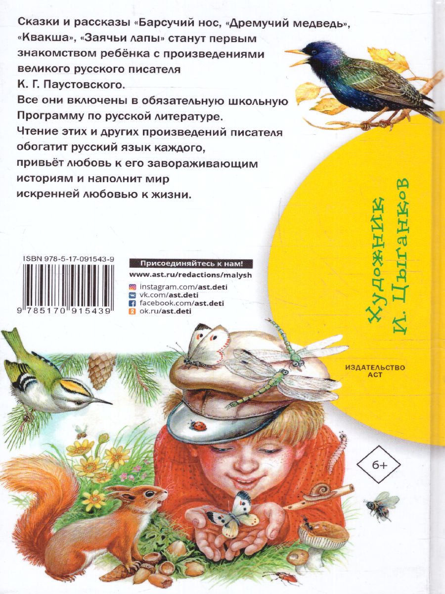 Обложка книги Барсучий нос. Сказки и рассказы, Автор Паустовский К.Г., издательство АСТ | купить в книжном магазине Рослит