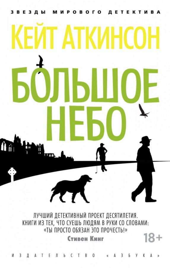 Обложка Большое небо (мягк/обл.)/Звезды мирового детектива (Махаон), издательство Махаон | купить в книжном магазине Рослит
