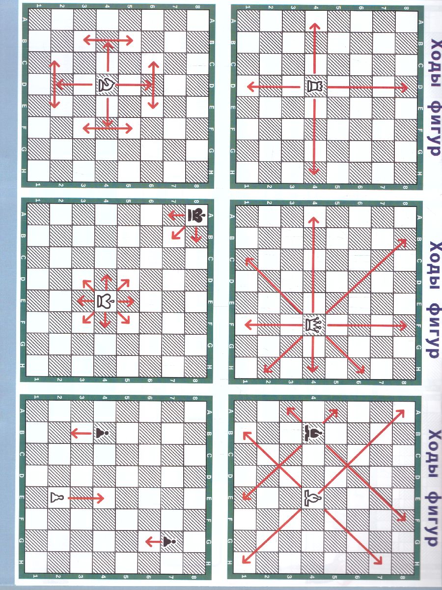 Обложка книги Шахматы 1-4 классы Все правила, Автор Прудникова Е.А., издательство Феникс ТД                                          | купить в книжном магазине Рослит