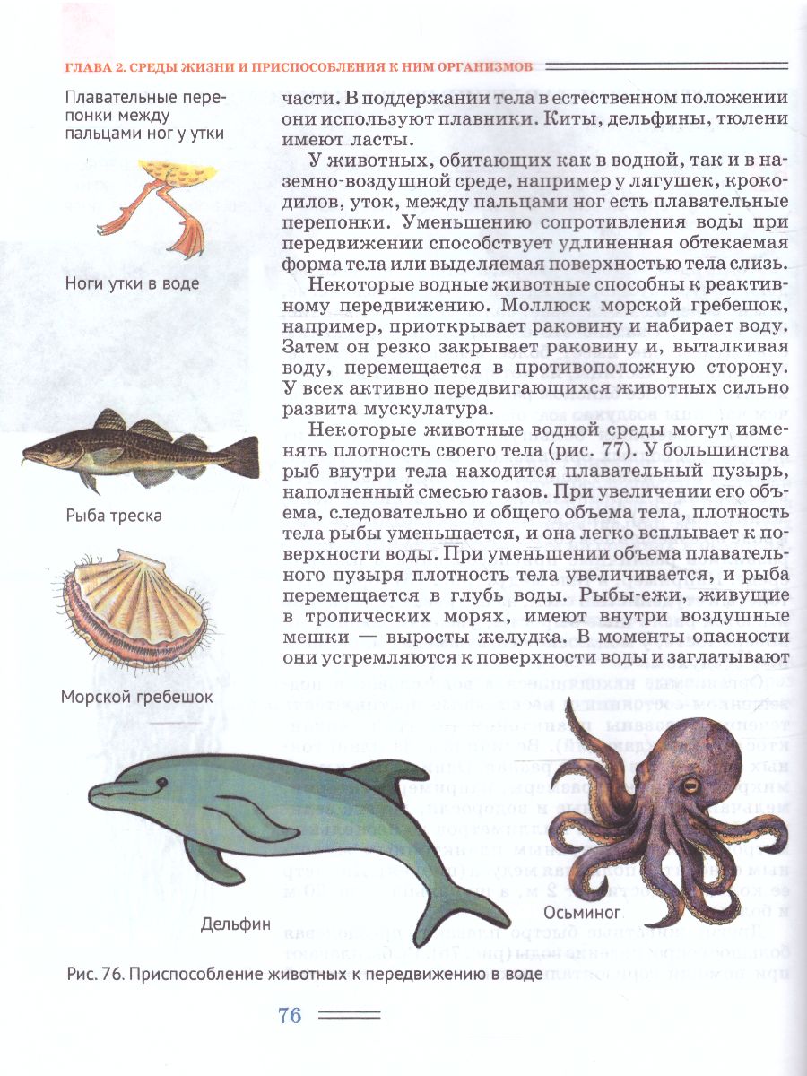 Обложка книги Биология 5 класс. Организмы, Автор Никишов А.И., издательство Владос | купить в книжном магазине Рослит