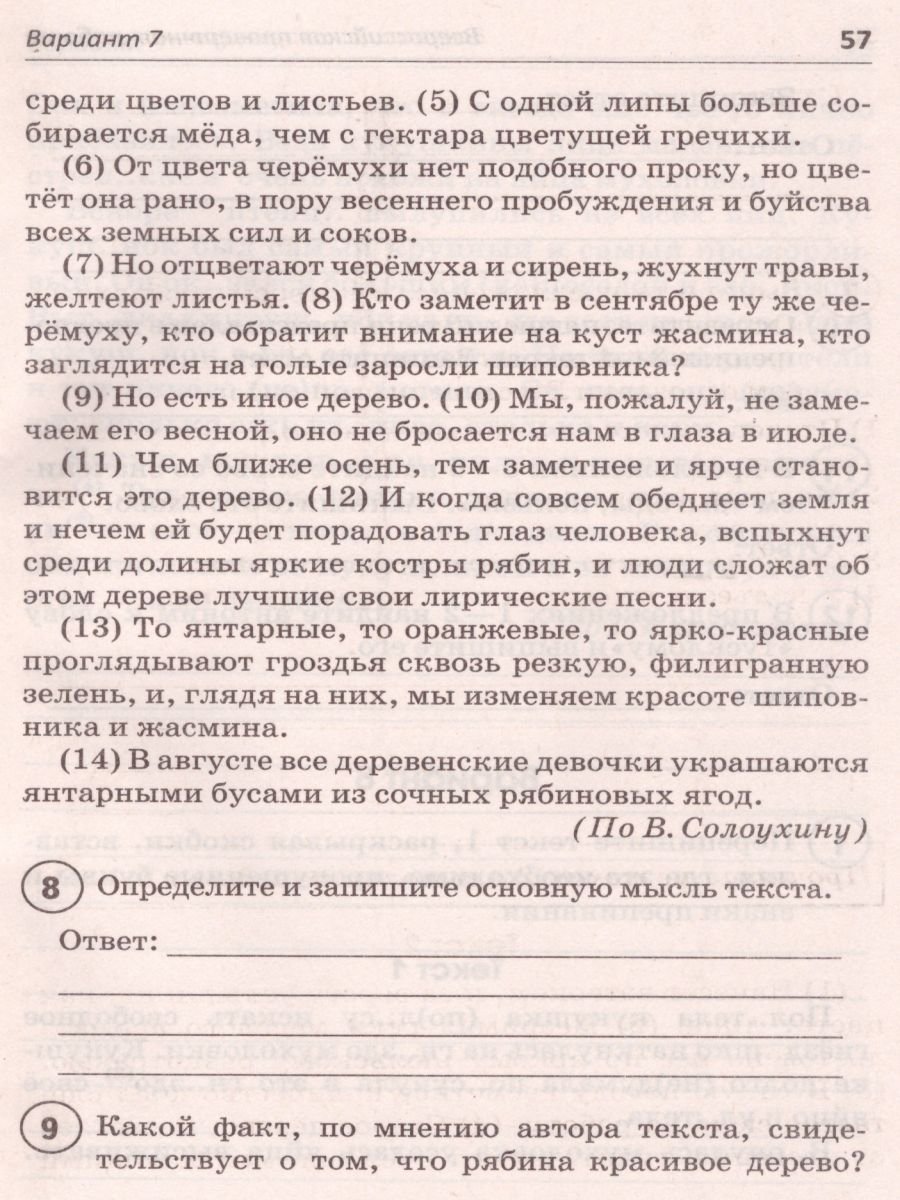 Обложка книги ВПР Русский язык 5 класс, Автор Мальцева Леля Игнатьевна, издательство Афина | купить в книжном магазине Рослит