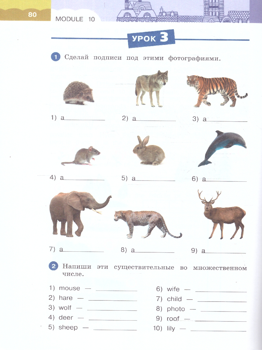 Обложка книги Английский язык 4 класс. Рабочая тетрадь. Часть 2. Комплект в 2-х частях. Rainbow English. К новому учебнику, Автор Афанасьева О.В.; Михеева И.В., издательство Просвещение | купить в книжном магазине Рослит