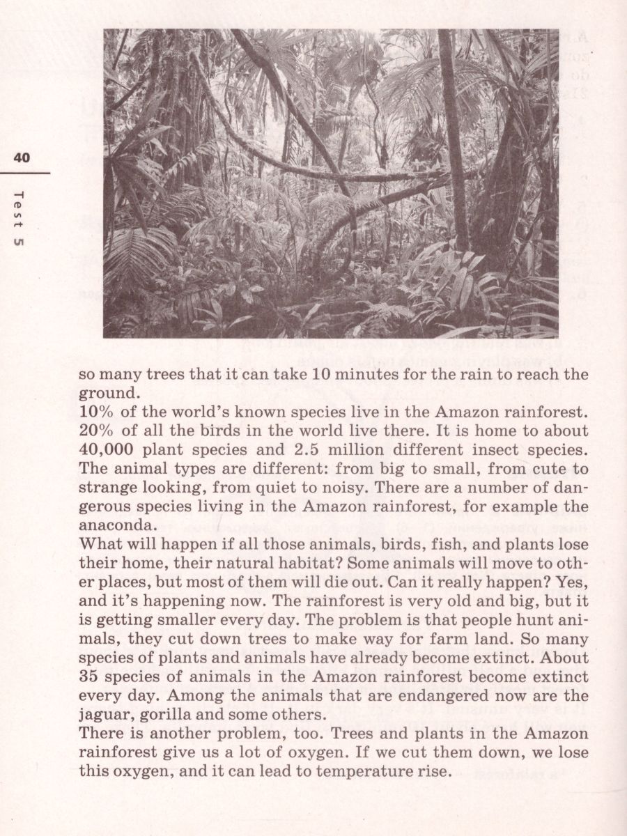 Обложка книги Английский язык 7 класс Rainbow English. Диагностические работы. Вертикаль. ФГОС, Автор Афанасьева О.В. Михеева И.В. Макеева С.Н., издательство Просвещение | купить в книжном магазине Рослит