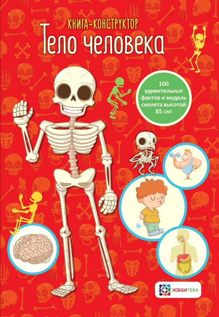 Обложка Тело человека. Книга-конструктор, издательство АСТ-Пресс | купить в книжном магазине Рослит