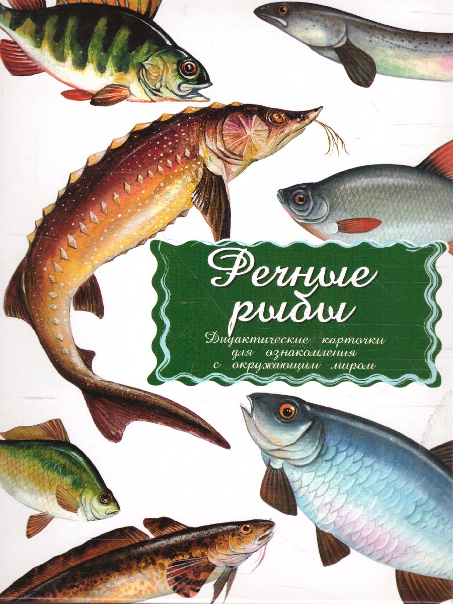 Обложка книги Дидактические карточки "Речные рыбы", Автор , издательство Маленький гений-Пресс | купить в книжном магазине Рослит