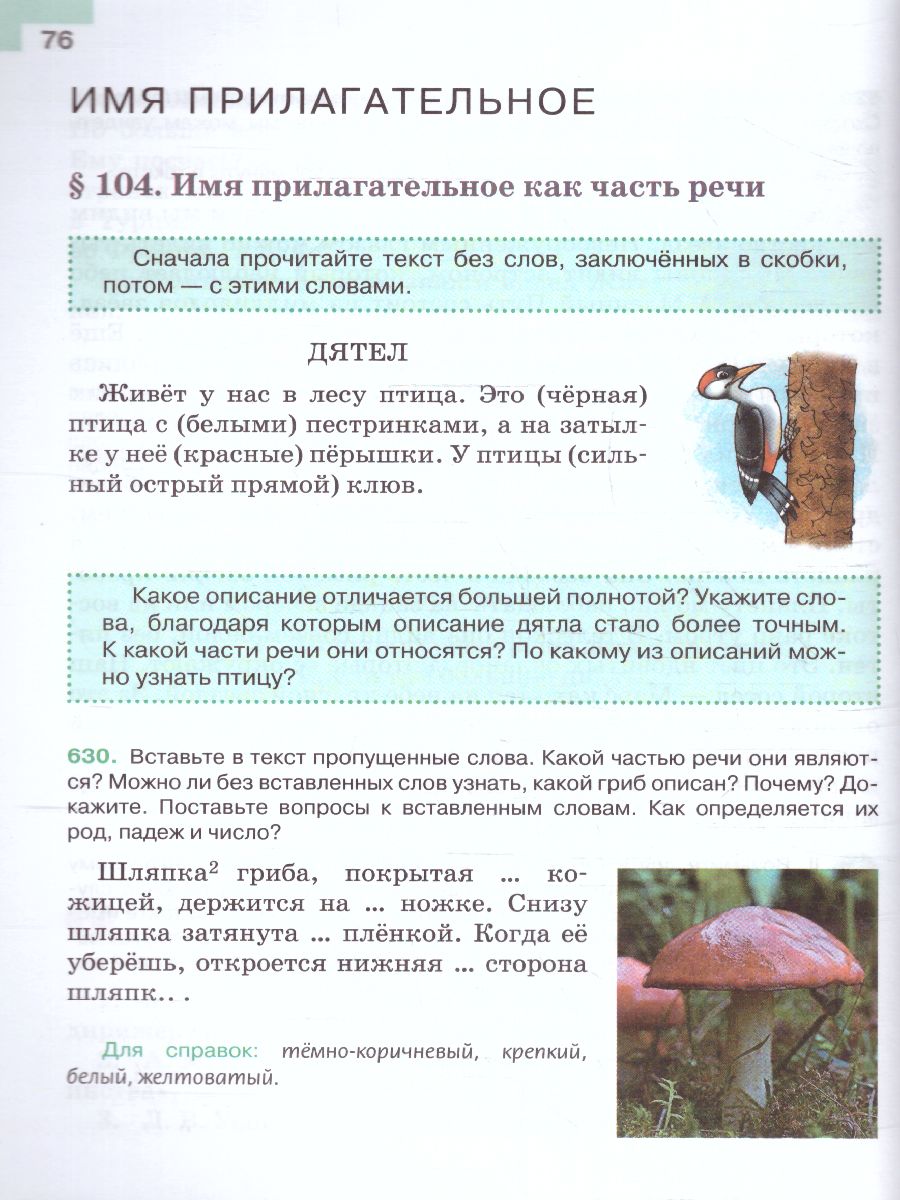 Обложка книги Русский язык 5 класс. Учебник в 2-х частях. Часть 2 (ФП2022), Автор Ладыженская Т.А. Баранов М.Т. Тростенцова Л.А., издательство Просвещение | купить в книжном магазине Рослит