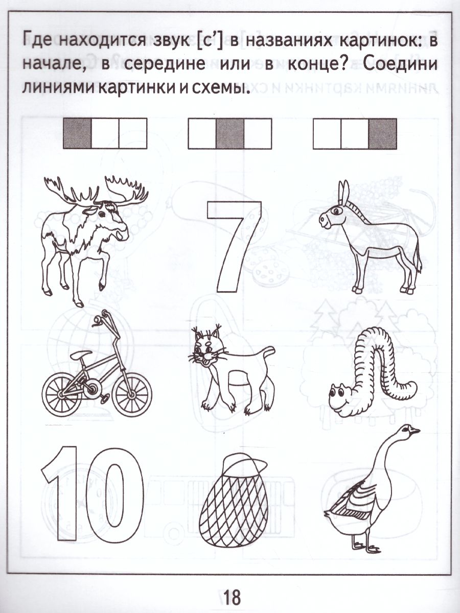 Обложка книги Логопедическая тетрадь на звуки С, С. Рабочая тетрадь, Автор , издательство Весна-Дизайн | купить в книжном магазине Рослит