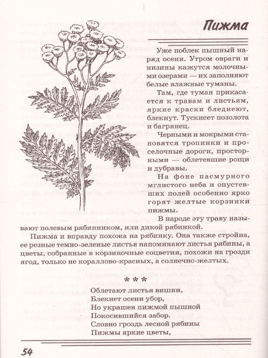 Обложка книги Травы. Какие они? Знакомство с окружающим миром, развитие речи, Автор Шорыгина Т.А., издательство ГНОМ | купить в книжном магазине Рослит