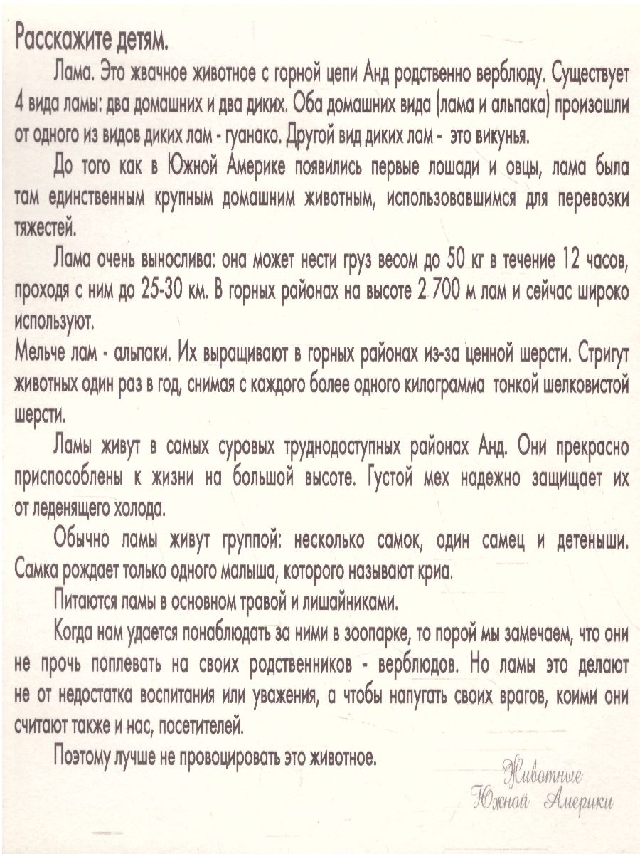 Обложка книги Дидактические карточки "Животные Южной Америки", Автор , издательство Маленький гений-Пресс | купить в книжном магазине Рослит
