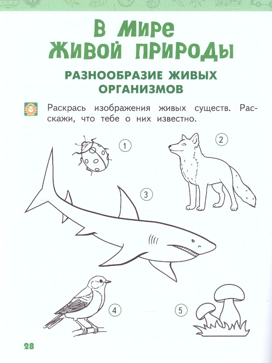 Обложка книги Окружающий мир 1 класс. Рабочая тетрадь. ФГОС, Автор Самкова В.А. Новикова С.Н., издательство Русское слово | купить в книжном магазине Рослит