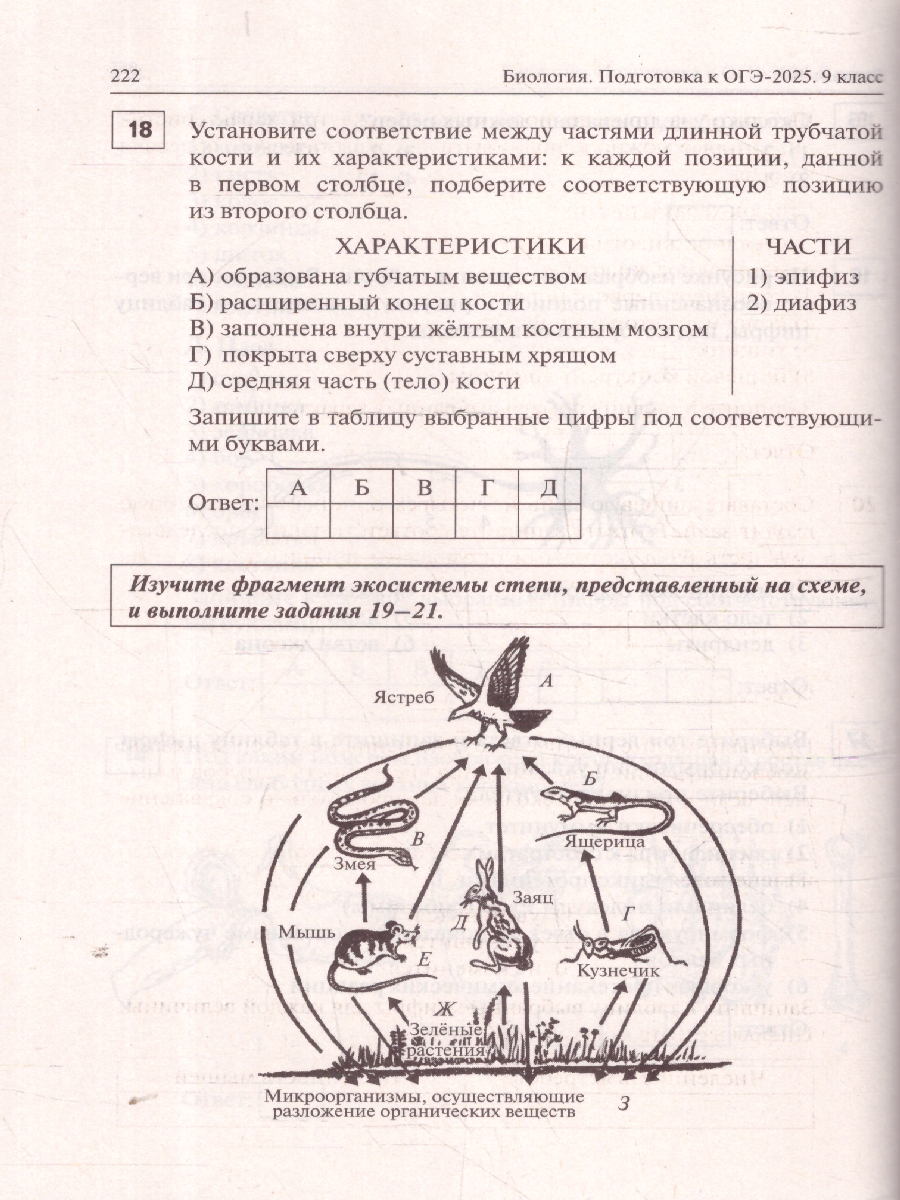 Обложка книги ОГЭ-2025 Биология. 20 тренировочных вариантов, Автор Кириленко А. А. Колесников С. И. Даденко Е. В., издательство ЛЕГИОН | купить в книжном магазине Рослит