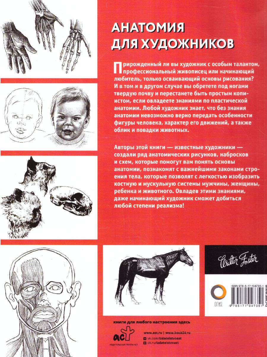 Обложка Анатомия для художников. Полный курс рисования, издательство АСТ | купить в книжном магазине Рослит