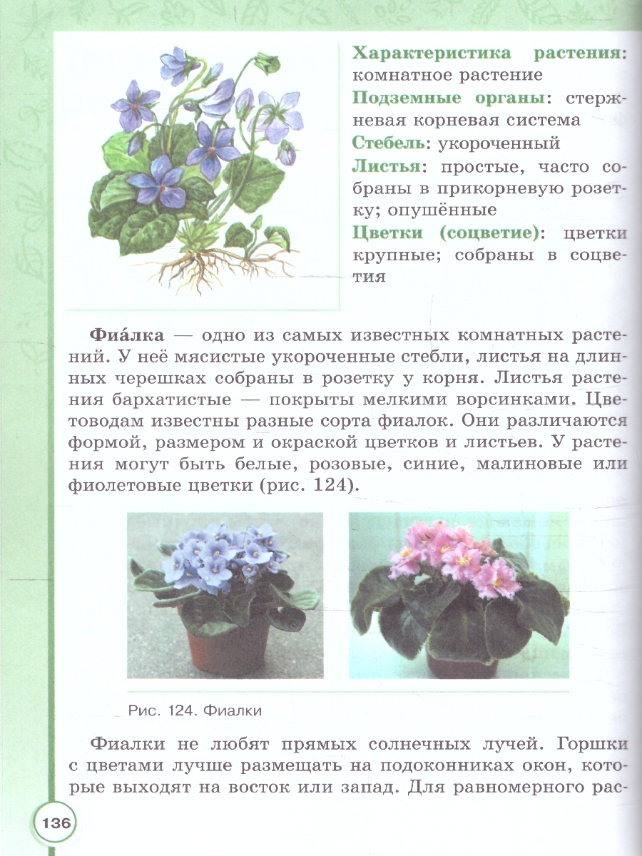 Обложка книги Биология 7 класс. Учебное пособие. Для обучающихся с интеллектуальными нарушениями, Автор Шевырёва Т.В.; Соломина Е.Н., издательство Просвещение | купить в книжном магазине Рослит