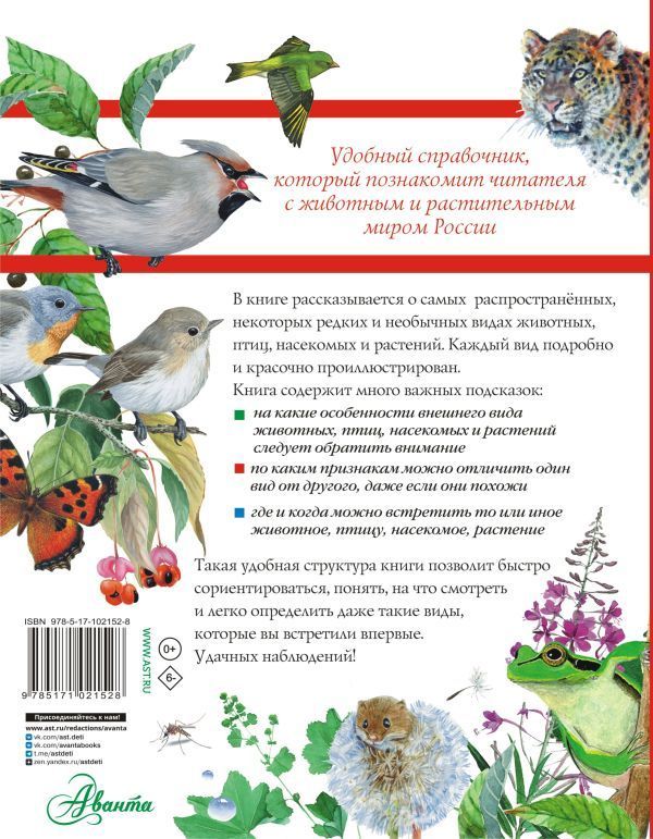 Обложка книги Большой определитель птиц, зверей, насекомых и растений России, Автор Волцит П.М. Полевод В.А. Пескова И.М., издательство АСТ | купить в книжном магазине Рослит