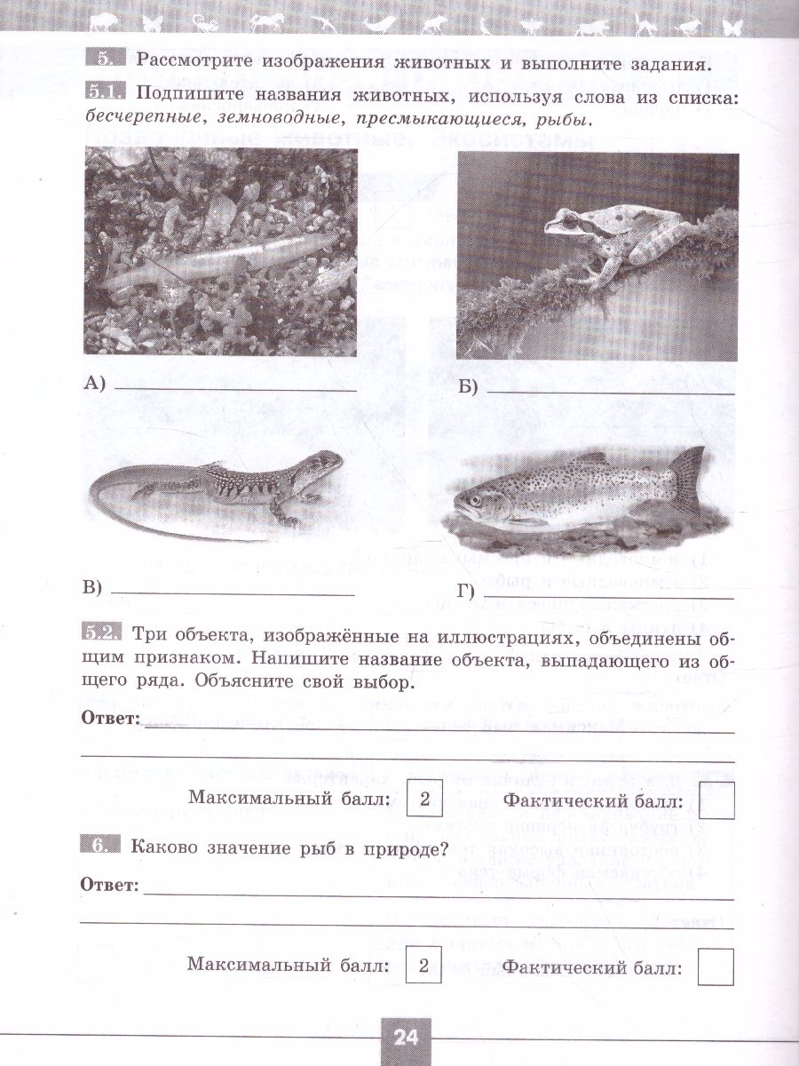 Обложка книги Биология 7 класс. Проверочные работы в формате ВПР., Автор Суматохин С.В. Калинова Г.С., издательство Просвещение | купить в книжном магазине Рослит