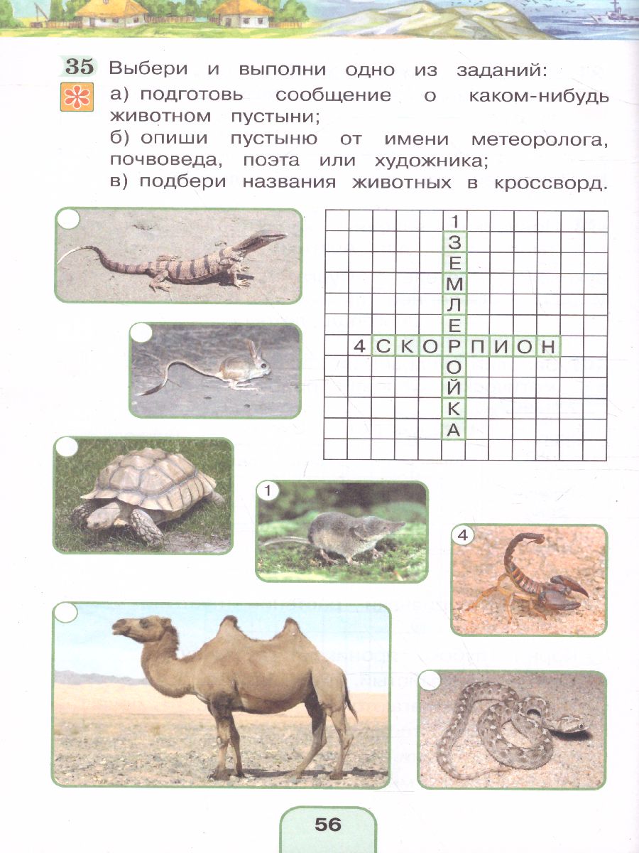 Обложка книги Поглазова Окружающий мир 4кл. Р/Т ч.1. ФГОС (Асс21в.), Автор Поглазова О.Т. Шилин В.Д., издательство Просвещение/Союз                                   | купить в книжном магазине Рослит