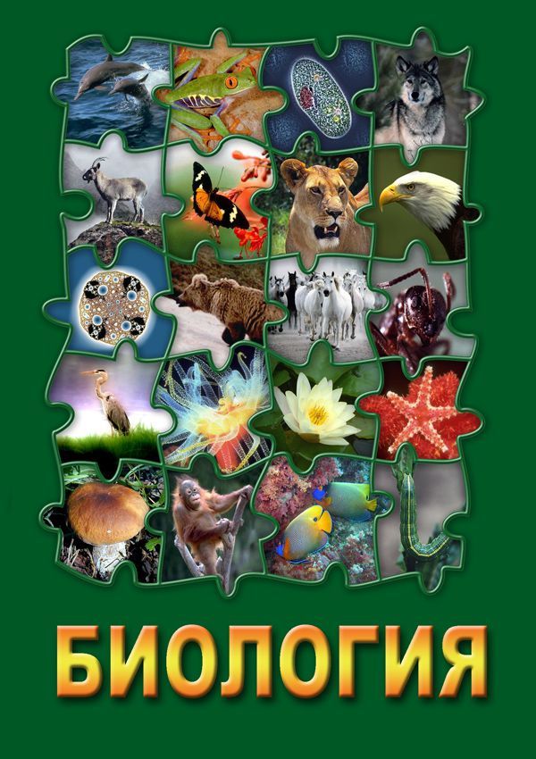 Обложка книги Биология - 3 DVD, Автор , издательство КВАРТ | купить в книжном магазине Рослит