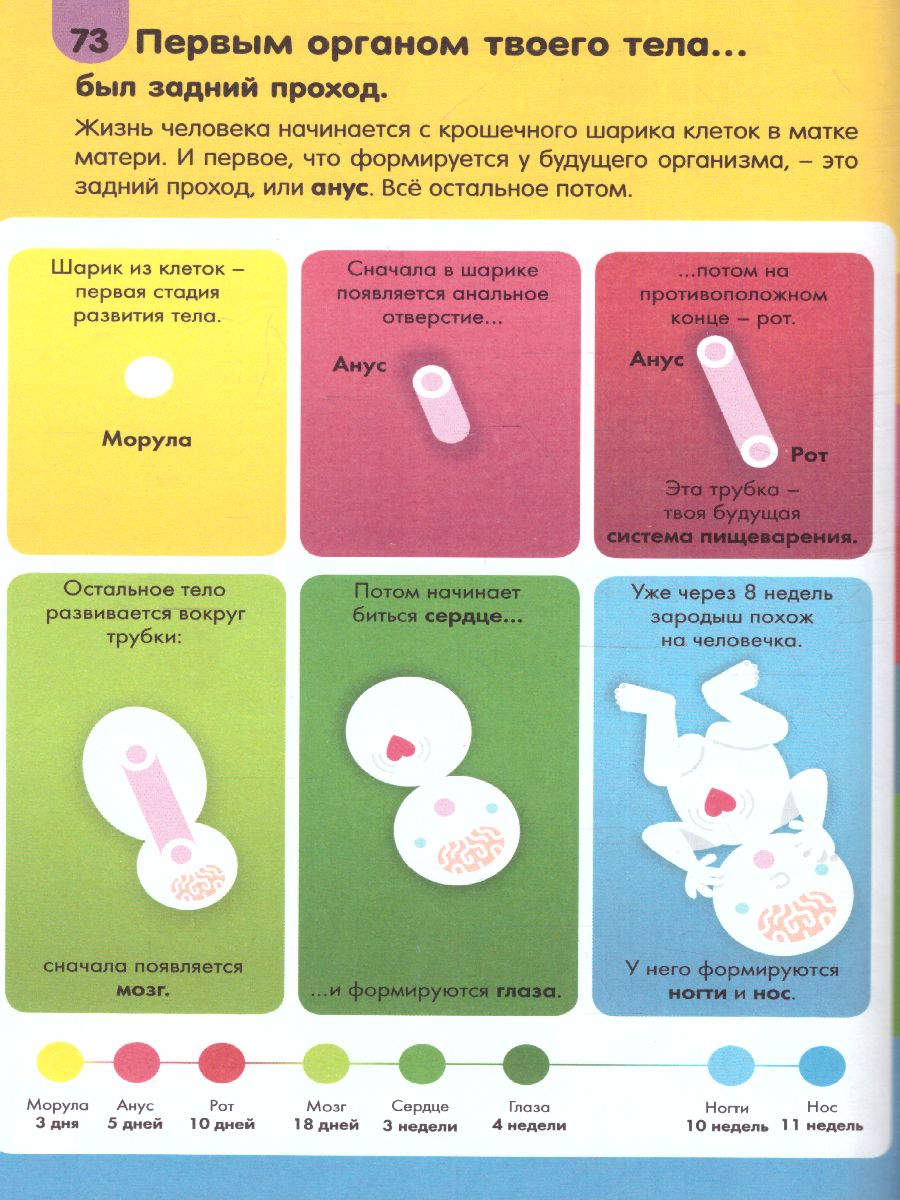 Обложка Тело человека /100ВопросовОтветов, издательство АСТ | купить в книжном магазине Рослит